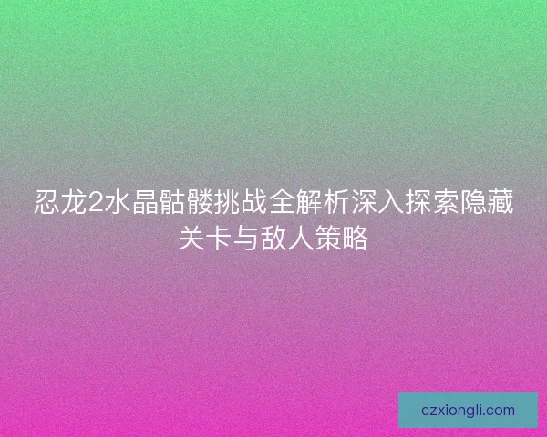 忍龙2水晶骷髅挑战全解析深入探索隐藏关卡与敌人策略